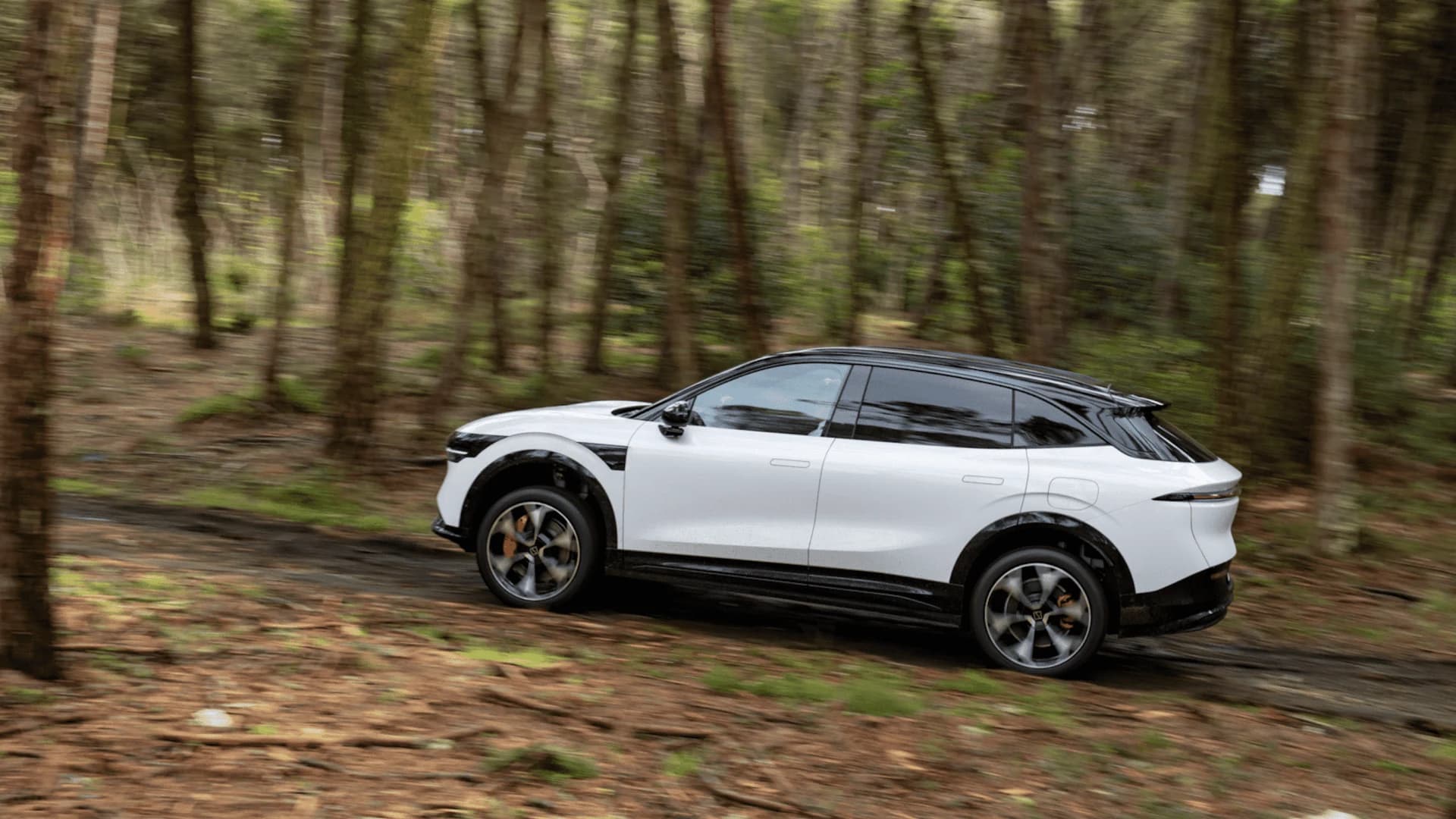 Dual-Motor AWD